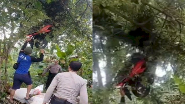 Tangkapan Layar Motor Wisatawan Nyangkut di Atas Pohon Setinggi 3 Meter (Tiktok @tukangmaidoakhir_zaman)