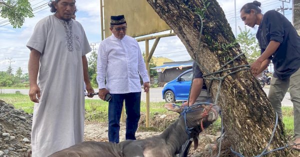 Anggota DPR RI Muhammad Fauzi Berkurban 7 Sapi: Mari Ikut Berpartisipasi Bantu Masyarakat