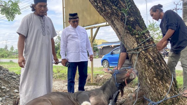 Anggota DPR RI Muhammad Fauzi Berkurban 7 Sapi: Mari Ikut Berpartisipasi Bantu Masyarakat