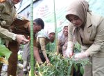 Fatmawati Rusdi Pantau Kesiapan Lomba Kelurahan Tingkat Kabupaten Kota 2023