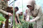Fatmawati Rusdi Pantau Kesiapan Lomba Kelurahan Tingkat Kabupaten Kota 2023