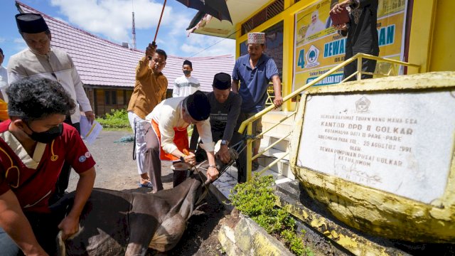 Taufan Pawe Sembelih 4 Hewan Qurban di Kantor DPD Golkar Parepare