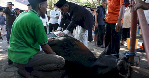 Wali Kota Danny Pomanto Saksikan Pemotongan Hewan Kurban dan Gelar Open House