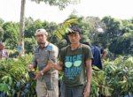Kementerian Pertanian Bangun Kampung Hortikultura di Luwu Utara