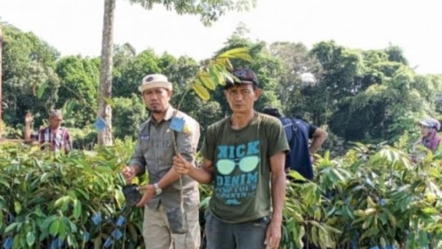 Kementerian Pertanian Bangun Kampung Hortikultura di Luwu Utara