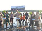 Forkopimda Takalar Tanam 1300 Pohon Mangrove di Kecamatan Mappakasunggu