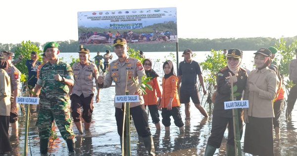Forkopimda Takalar Tanam 1300 Pohon Mangrove di Kecamatan Mappakasunggu