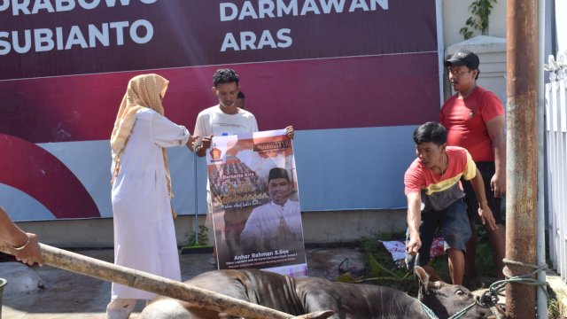 Bakal calon anggota legislatif (Bacaleg) DPR RI Dapil Sulsel 1, Andi Anhar Rahman menyembelih dua ekor sapi kurban di Rumah Pemenangan Prabowo Subianto di Jalan Haji Bau, Makassar pada Jumat (30/6).