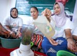 Di Bone, Simpatisan Ganjar Gelar Pelatihan Olah Rumput Laut jadi Agar-agar