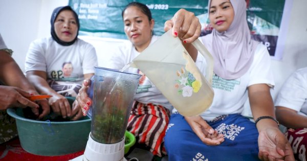 Di Bone, Simpatisan Ganjar Gelar Pelatihan Olah Rumput Laut jadi Agar-agar