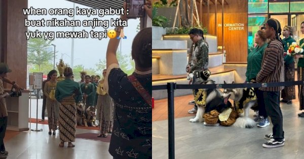 Viral Pernikahan Mewah Anjing Pakai Adat Jawa, Habiskan Biaya Rp200 Juta 