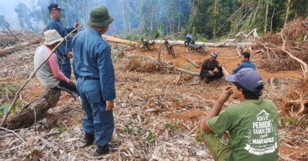 Bakar dan Gunduli Hutan, Kades di Lutim Terancam Bui 5 Tahun dan Denda Rp 7,5 M