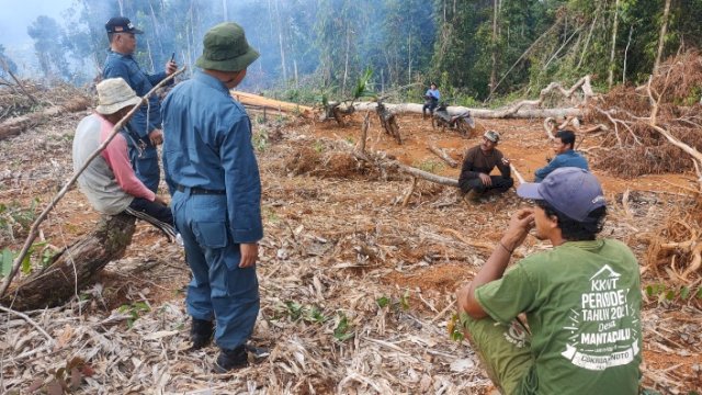 Penampakan hutan di Desa Mantadulu, di Kabupaten Luwu Timur (Lutim) Provinsi Sulawesi Selatan usai dilakukan perlambatan dan pembakaran oleh oknum desa setempat. 