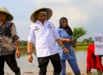 Penuhi Undangan Petani, Mentan SYL Tanam Padi di Desa Kalelantang Takalar