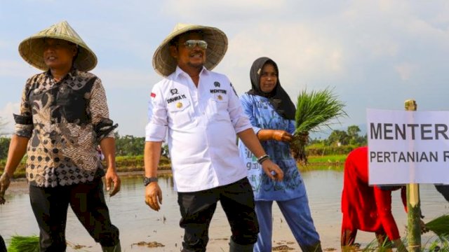 Penuhi Undangan Petani, Mentan SYL Tanam Padi di Desa Kalelantang Takalar