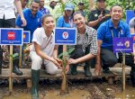 FIBA World Cup 2023, Kemenpora Apresiasi Penanaman Bibit Mangrove untuk Atasi Kualitas Udara Jakarta