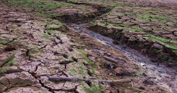 Hadapi El Nino yang Berdampak ke Sektor Pertanian, Pemprov Sulsel Siapkan Antisipasi 