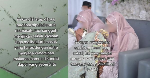 Viral Pesta Pernikahan Dipenuhi Lalat, Bikin Tamu Undangan Jijik