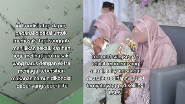 Pesta pernikahan dipenuhi lalat. (Tangkapan layar Tiktok.com @apat13243)