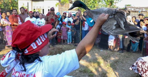 Gerakan Panrannuangku Ganjar Adakan Lomba Tangkap Bebek, Jadi Hiburan untuk Masyarakat