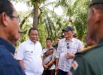Pj Gubernur Bahtiar Produktifkan Lahan Milik PTPN XIV untuk Ditanami Pisang