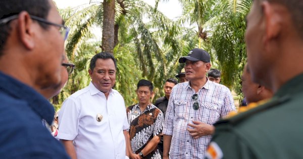 Pj Gubernur Bahtiar Produktifkan Lahan Milik PTPN XIV untuk Ditanami Pisang