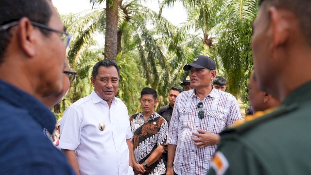 Pj Gubernur Bahtiar Produktifkan Lahan Milik PTPN XIV untuk Ditanami Pisang