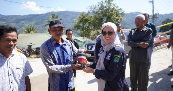 Pemda Lutra Salurkan Bantuan Bibit Ke Petani, Indah Harap Rongkong jadi Daerah Penghasil Cabai