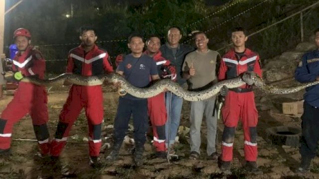 Tim Damkar Makassar memamerkan ular sanca sepanjang 5 meter yang berhasil dievakuasi di Kelurahan Manggala, Kecamatan Manggala. (foto: Damkar Makassar) 