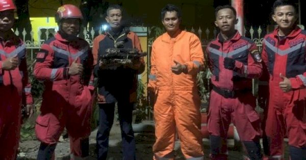 Laporan Warga, 6 Personil Damkar Makassar Tangani Sarang Tawon Vespa 