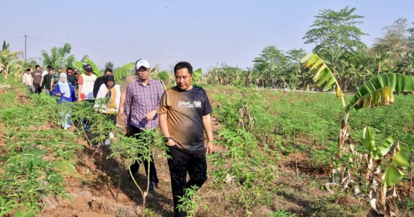 Pj Gubernur Sulsel Tinjau 23 Hektar Lahan Percontohan Budidaya Pisang dan Nanas di Pattallasang Gowa