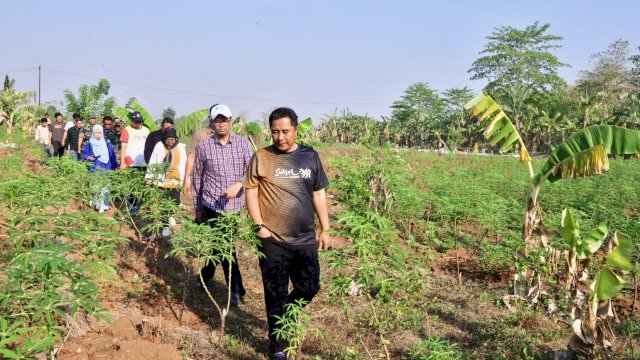 Pj Gubernur Sulsel Tinjau 23 Hektar Lahan Percontohan Budidaya Pisang dan Nanas di Pattallasang Gowa