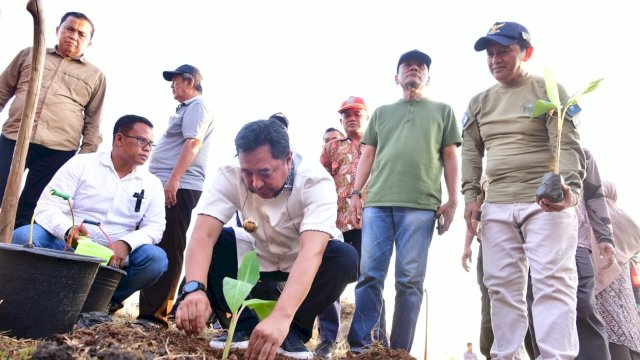 Pj Gubernur Sulsel Usulkan 40 Persen Dana Desa untuk Budidaya Pisang dan Rumpon Ikan 