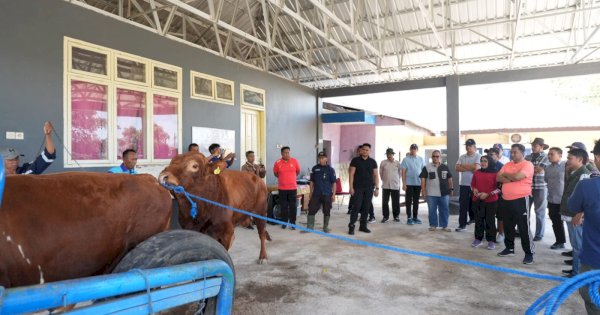 Kunjungan ke Pucak Maros, Pj Gubernur Bahtiar Dorong Inseminasi Buatan Tingkatkan Populasi Ternak