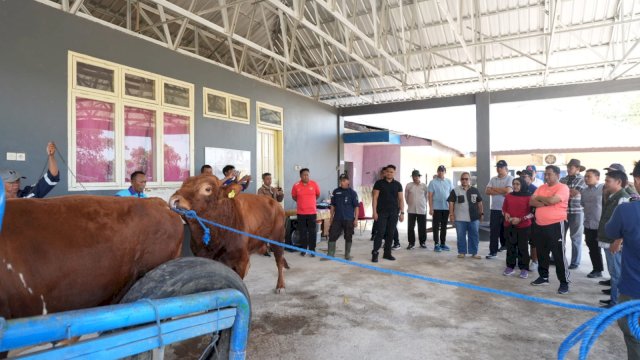 Kunjungan ke Pucak Maros, Pj Gubernur Bahtiar Dorong Inseminasi Buatan Tingkatkan Populasi Ternak