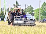 Pj Gubernur Bahtiar Panen Raya Padi Bareng Petani di Tengah El Nino
