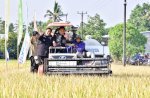 Pj Gubernur Bahtiar Panen Raya Padi Bareng Petani di Tengah El Nino