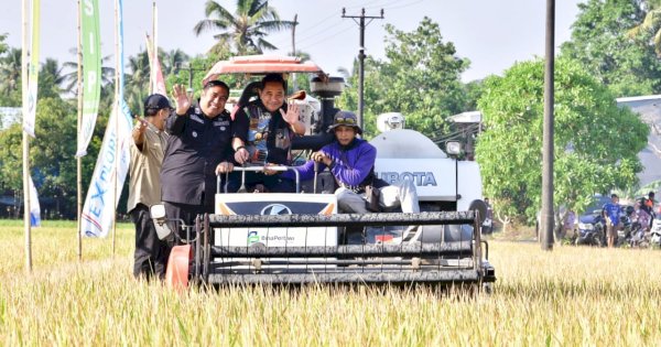 Pj Gubernur Bahtiar Panen Raya Padi Bareng Petani di Tengah El Nino