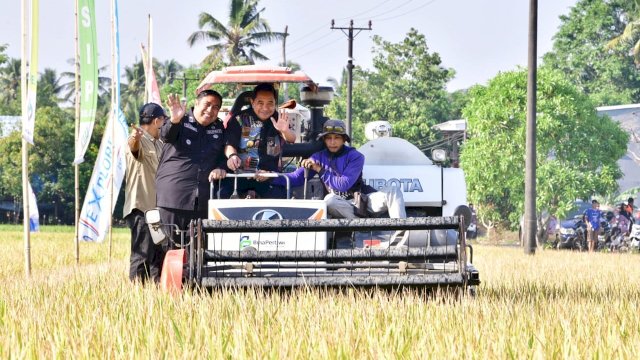 Pj Gubernur Bahtiar Panen Raya Padi Bareng Petani di Tengah El Nino