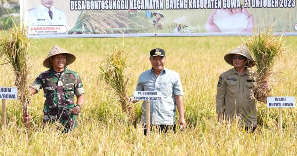 Di Tengah Kemarau dan El Nino, Bahtiar Baharuddin Hadiri Panen Raya di Gowa 