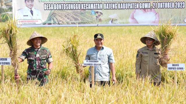 Di Tengah Kemarau dan El Nino, Bahtiar Baharuddin Hadiri Panen Raya di Gowa 