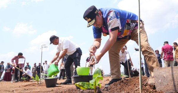 Di Sinjai, Pj Gubernur Sulsel Tanam Pisang di Lahan 20 Hektare