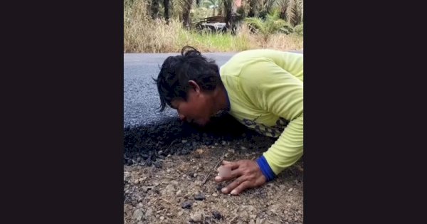 Viral Pria Cium Aspal, Bersyukur Jalan Rusak Diperbaiki Usai 37 Tahun Penantian