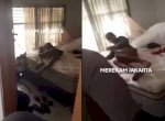 Viral Maling Ketiduran di Rumah Korban, Kaget Dibangunin Polisi