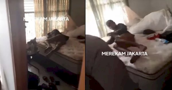 Viral Maling Ketiduran di Rumah Korban, Kaget Dibangunin Polisi