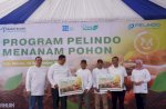 Pemkab Maros-Pelindo Tanam 2.500 Pohon Buah di Bontolempangan