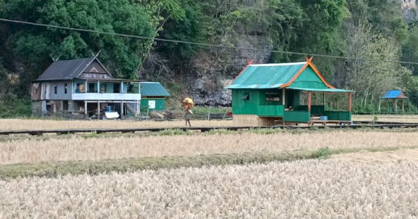 Dinas Pertanian Maros Selamatkan 210 Hektare Tanaman Padi Petani Dari Kekeringan Ekstrem