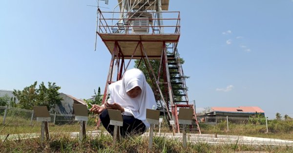 Suhu Panas di Maros Capai 36,6 Derajat Celcius, BMKG Imbau Warga Kurangi Aktivitas Luar