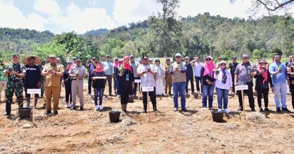 Pemkot Palopo Siapkan 48 Hektar Lahan untuk Budidaya Pisang