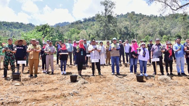 Pemkot Palopo Siapkan 48 Hektar Lahan untuk Budidaya Pisang